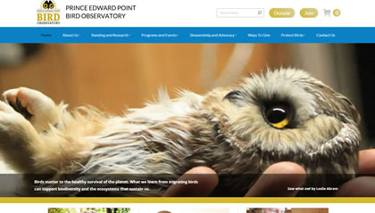 Prince Edward County Web Design